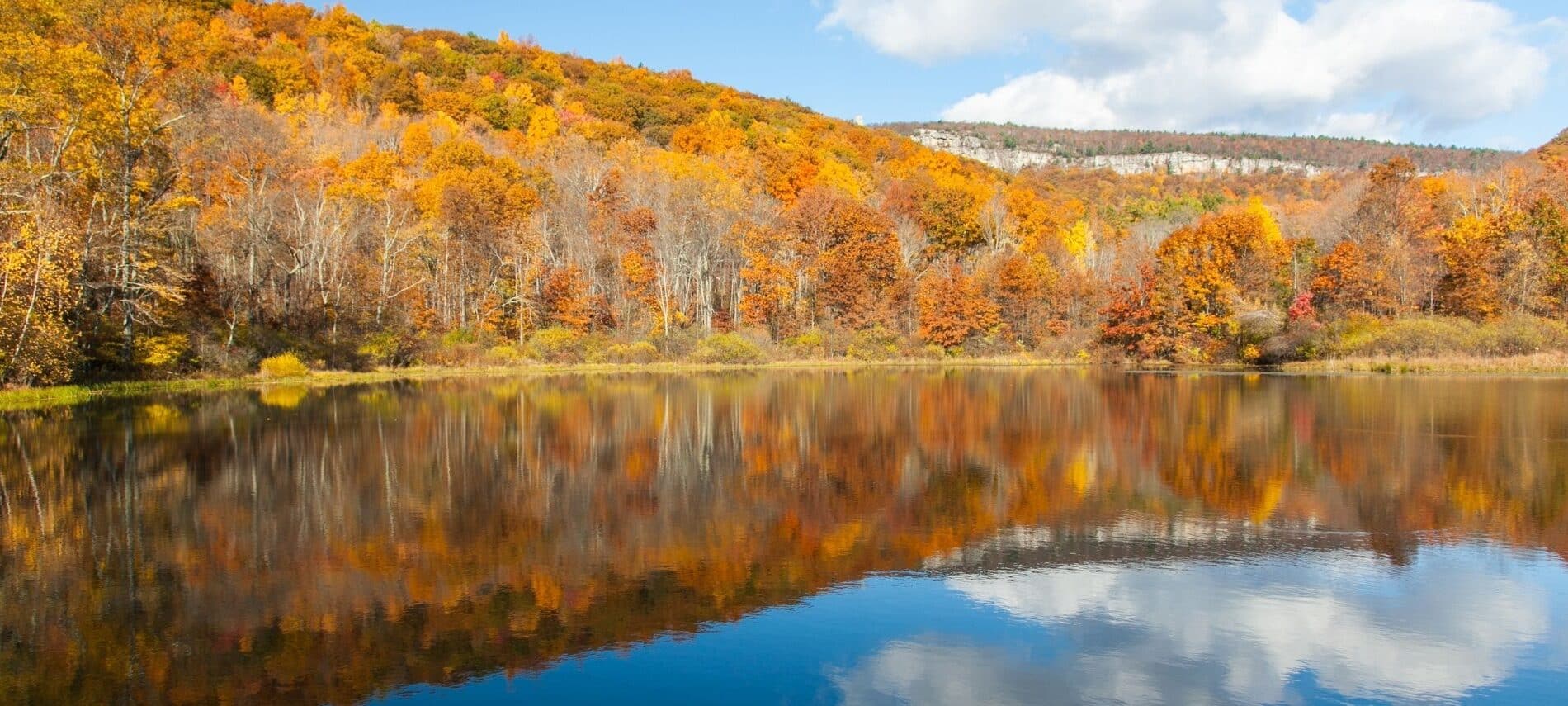 reflection of fall foliage on the hudson river in new york